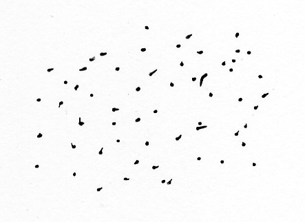 Dots